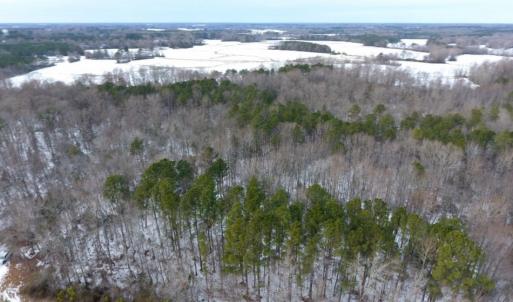 Photo of UNDER CONTRACT!  26.89 Acres of Residential and Timber Land For Sale in Edgecombe County NC!