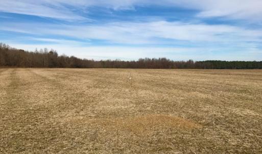 Photo of UNDER CONTRACT!  62.5 Acres of Farm and Timber Land For Sale in Wayne County NC!