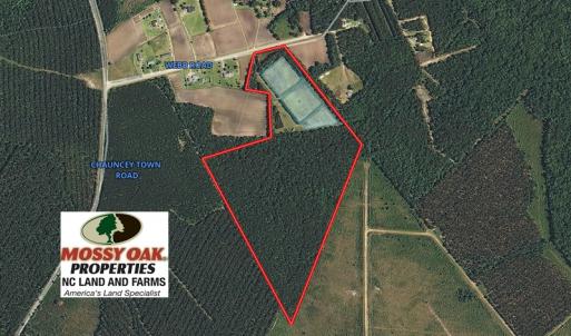 Photo of UNDER CONTRACT!  49.82 Acres of Hunting Land with Duck Impoundments For Sale in Columbus County NC!