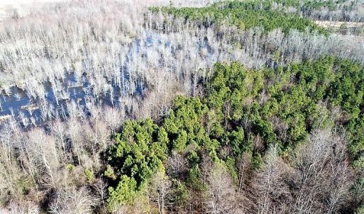 Photo of UNDER CONTRACT!  45 Acres of Hunting and Recreational Land For Sale In Wilson County NC!
