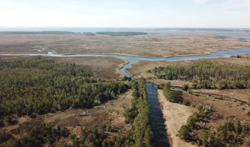 Photo of UNDER CONTRACT!  65 Acres of Waterfront Land For Sale in Hyde County NC!