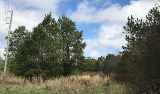 Photo of SOLD!  21 Acres of Farm and Timber Land For Sale in Perquimans County NC!