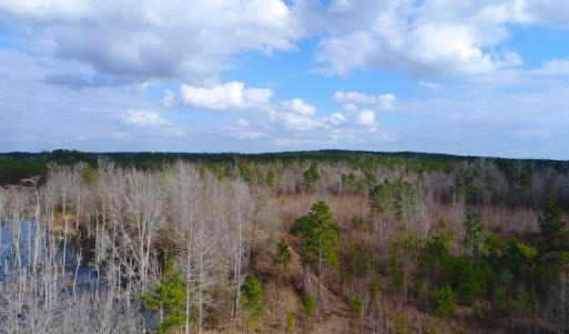 Photo of UNDER CONTRACT!  87 Acres of Hunting and Timber Land For Sale in Harnett County NC!