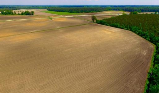 Photo of UNDER CONTRACT!  130 Acres of Prime Farm and Commercial Land For Sale in Jones County NC!