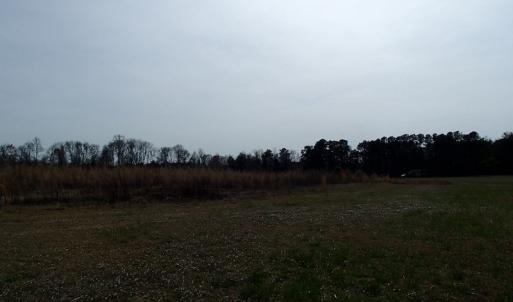 Photo of 32 Acres of Farm and Timber Land For Sale in Nash County NC!