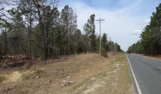Photo of UNDER CONTRACT!  4 Acres of Hunting and Timber Land for Sale in Scotland County NC!