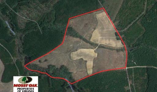 Photo of UNDER CONTRACT!  150 Acres of Farm and Hunting Land For Sale in Sussex County VA!