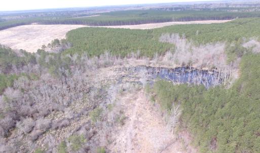 Photo of UNDER CONTRACT!  150 Acres of Farm and Hunting Land For Sale in Sussex County VA!