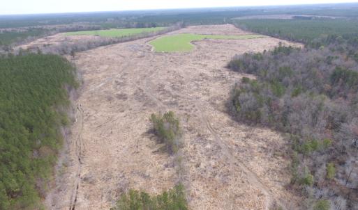 Photo of UNDER CONTRACT!  150 Acres of Farm and Hunting Land For Sale in Sussex County VA!