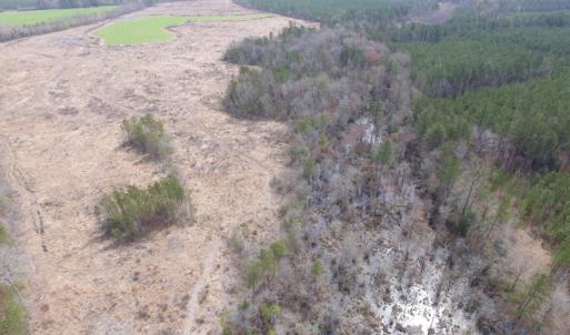 Photo of UNDER CONTRACT!  150 Acres of Farm and Hunting Land For Sale in Sussex County VA!