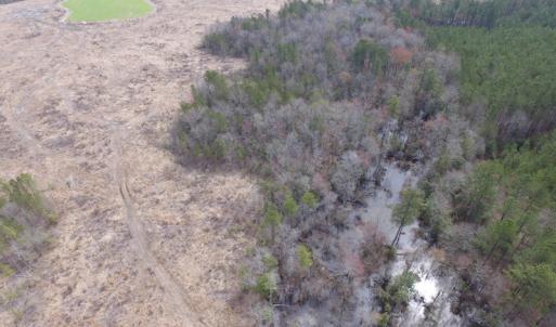 Photo of UNDER CONTRACT!  150 Acres of Farm and Hunting Land For Sale in Sussex County VA!