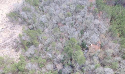 Photo of UNDER CONTRACT!  150 Acres of Farm and Hunting Land For Sale in Sussex County VA!