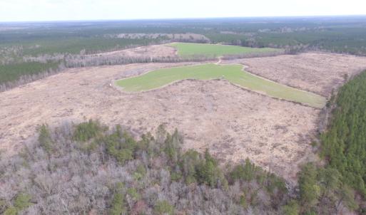 Photo of UNDER CONTRACT!  150 Acres of Farm and Hunting Land For Sale in Sussex County VA!