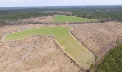 Photo of UNDER CONTRACT!  150 Acres of Farm and Hunting Land For Sale in Sussex County VA!