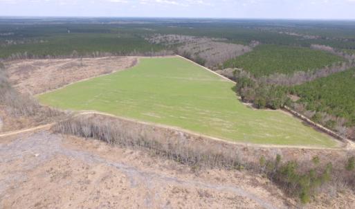 Photo of UNDER CONTRACT!  150 Acres of Farm and Hunting Land For Sale in Sussex County VA!