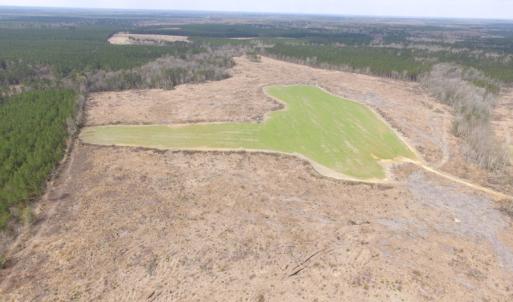 Photo of UNDER CONTRACT!  150 Acres of Farm and Hunting Land For Sale in Sussex County VA!