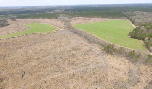 Photo of UNDER CONTRACT!  150 Acres of Farm and Hunting Land For Sale in Sussex County VA!