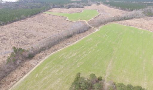 Photo of UNDER CONTRACT!  150 Acres of Farm and Hunting Land For Sale in Sussex County VA!
