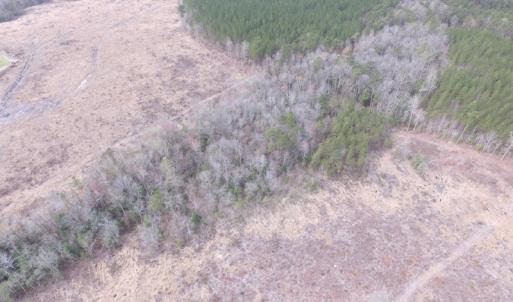 Photo of UNDER CONTRACT!  150 Acres of Farm and Hunting Land For Sale in Sussex County VA!