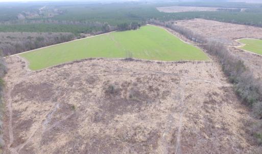Photo of UNDER CONTRACT!  150 Acres of Farm and Hunting Land For Sale in Sussex County VA!