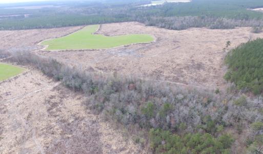 Photo of UNDER CONTRACT!  150 Acres of Farm and Hunting Land For Sale in Sussex County VA!