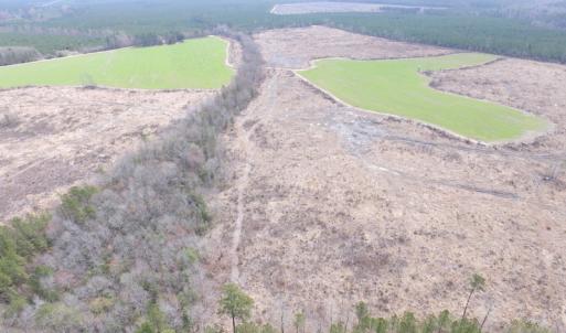 Photo of UNDER CONTRACT!  150 Acres of Farm and Hunting Land For Sale in Sussex County VA!