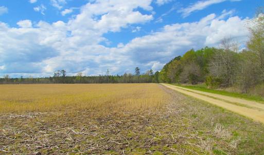 Photo of UNDER CONTRACT!  150 Acres of Farm and Hunting Land For Sale in Sussex County VA!