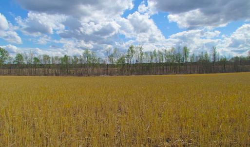 Photo of UNDER CONTRACT!  150 Acres of Farm and Hunting Land For Sale in Sussex County VA!