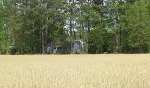 Photo of UNDER CONTRACT!  150 Acres of Farm and Hunting Land For Sale in Sussex County VA!