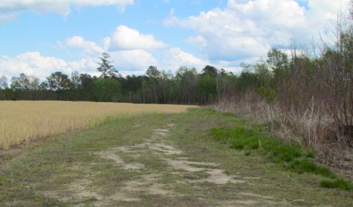 Photo of UNDER CONTRACT!  150 Acres of Farm and Hunting Land For Sale in Sussex County VA!