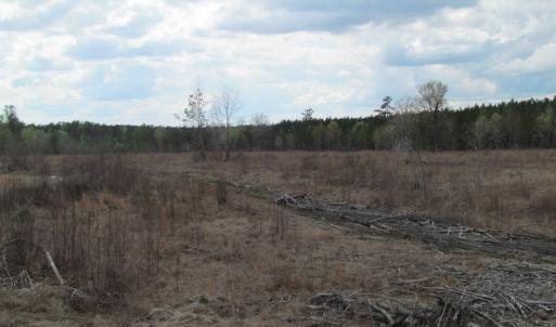 Photo of UNDER CONTRACT!  150 Acres of Farm and Hunting Land For Sale in Sussex County VA!