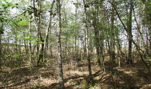 Photo of UNDER CONTRACT!  150 Acres of Farm and Hunting Land For Sale in Sussex County VA!