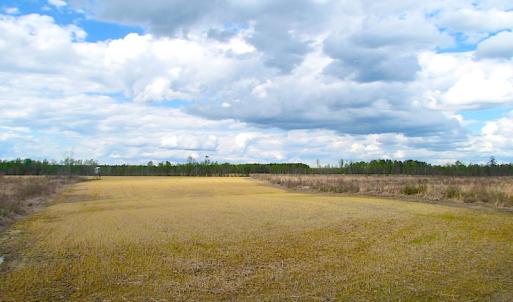 Photo of UNDER CONTRACT!  150 Acres of Farm and Hunting Land For Sale in Sussex County VA!