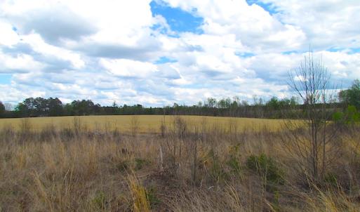Photo of UNDER CONTRACT!  150 Acres of Farm and Hunting Land For Sale in Sussex County VA!