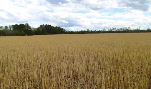 Photo of UNDER CONTRACT!  150 Acres of Farm and Hunting Land For Sale in Sussex County VA!