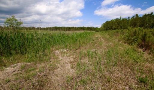 Photo of UNDER CONTRACT!  Duck Impoundment and Hunting Land For Sale in Pamlico County NC!
