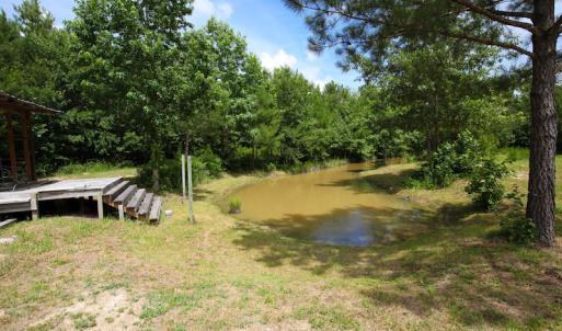 Photo of UNDER CONTRACT!  59 Acres of Hunting and Timber Land with Home For Sale in Bertie County NC!