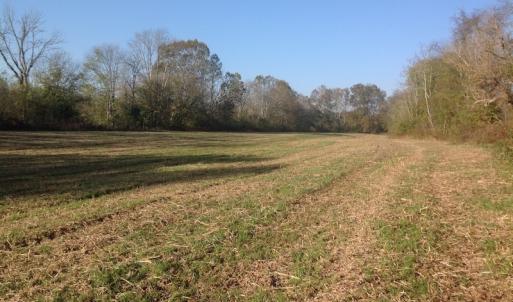 Photo of SOLD!!  31 Acres of Riverfront Hunting Land For Sale in Halifax County VA!