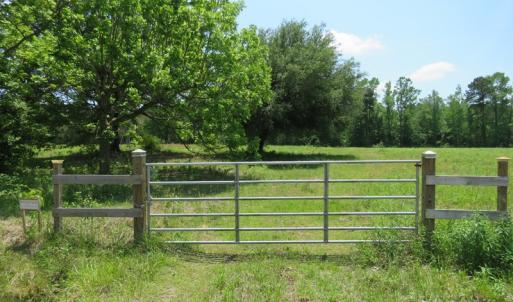 Photo of UNDER CONTRACT!  26 Acres of Farm and Timber Land with Home Site For Sale in Bladen County NC!