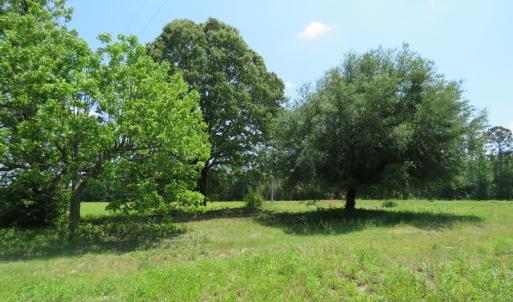 Photo of UNDER CONTRACT!  26 Acres of Farm and Timber Land with Home Site For Sale in Bladen County NC!