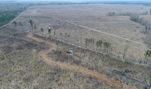 Photo of UNDER CONTRACT!  219 Acres of Timber Land For Sale In Halifax County NC!