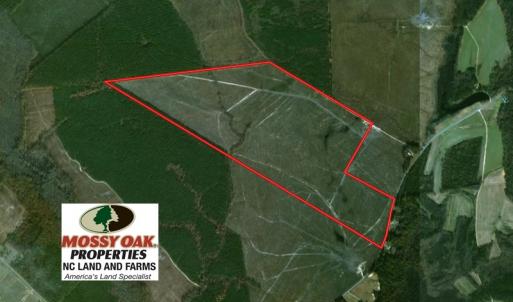 Photo of UNDER CONTRACT!  219 Acres of Timber Land For Sale In Halifax County NC!