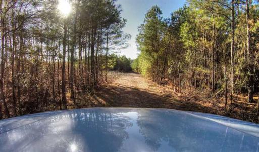 Photo of SOLD!  761 Acres of Hunting Land For Sale in Accomack County VA!