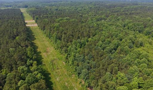 Photo of UNDER CONTRACT!  30 Acres of Timber and Hunting Land For Sale in Nash County NC!