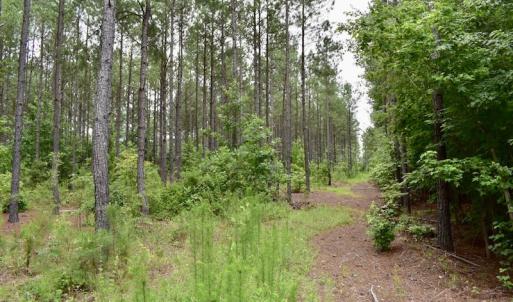 Photo of UNDER CONTRACT!  42.5 Acres of Hunting Land with Lodge For Sale in Brunswick County VA!