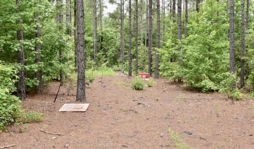 Photo of UNDER CONTRACT!  42.5 Acres of Hunting Land with Lodge For Sale in Brunswick County VA!