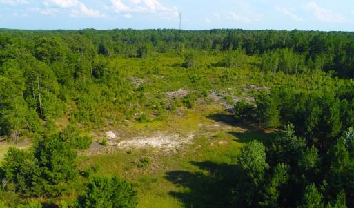 Photo of UNDER CONTRACT!  23 Acres of Residential and Recreational Property For Sale in Harnett County NC!