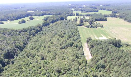 Photo of UNDER CONTRACT!  29 Acres of Hunting and Timber Land in Greensville County VA!