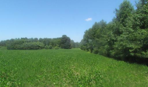 Photo of UNDER CONTRACT!  29 Acres of Hunting and Timber Land in Greensville County VA!