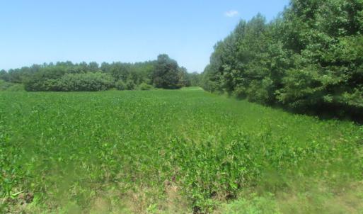 Photo of UNDER CONTRACT!  29 Acres of Hunting and Timber Land in Greensville County VA!